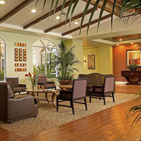 Palm Beach Shores Resort And Vacation Villas Interieur foto